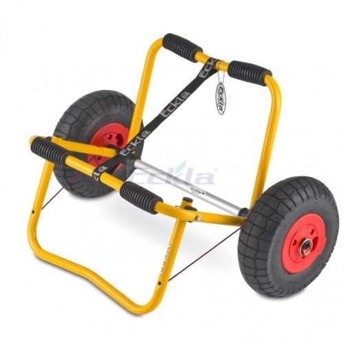 TRANSPORTE