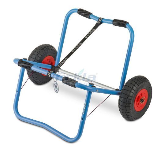 TRANSPORTE