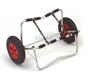 TRANSPORTE